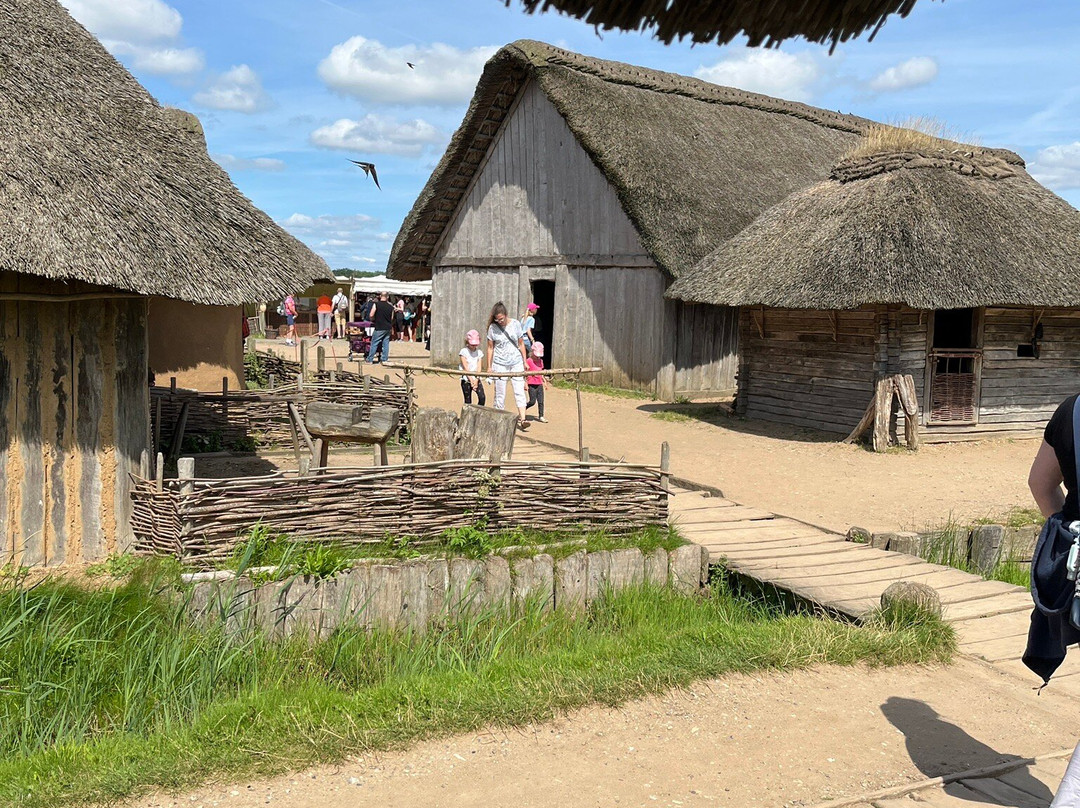 Viking Museum Haithabu景点图片