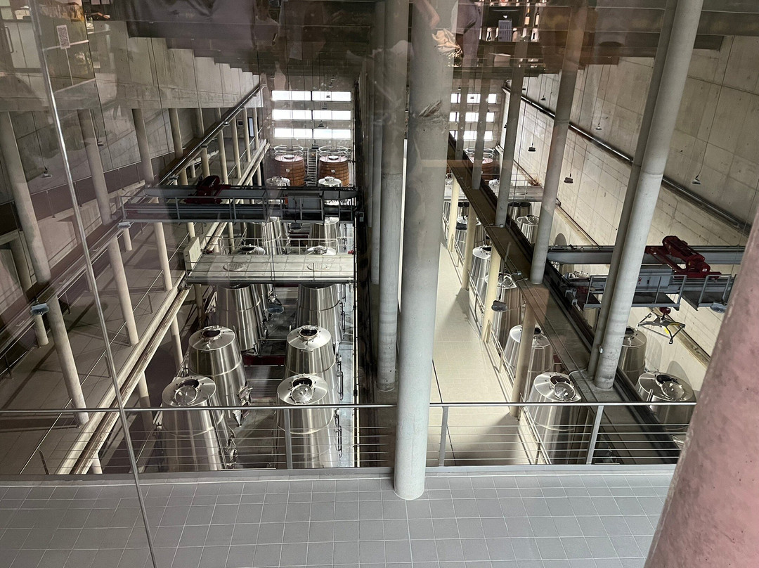 Bodegas Baigorri景点图片