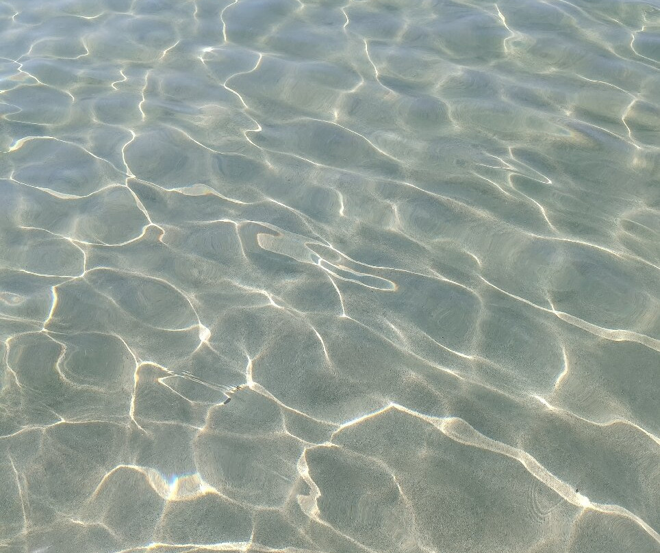 Spiaggia di Torre Mozza景点图片