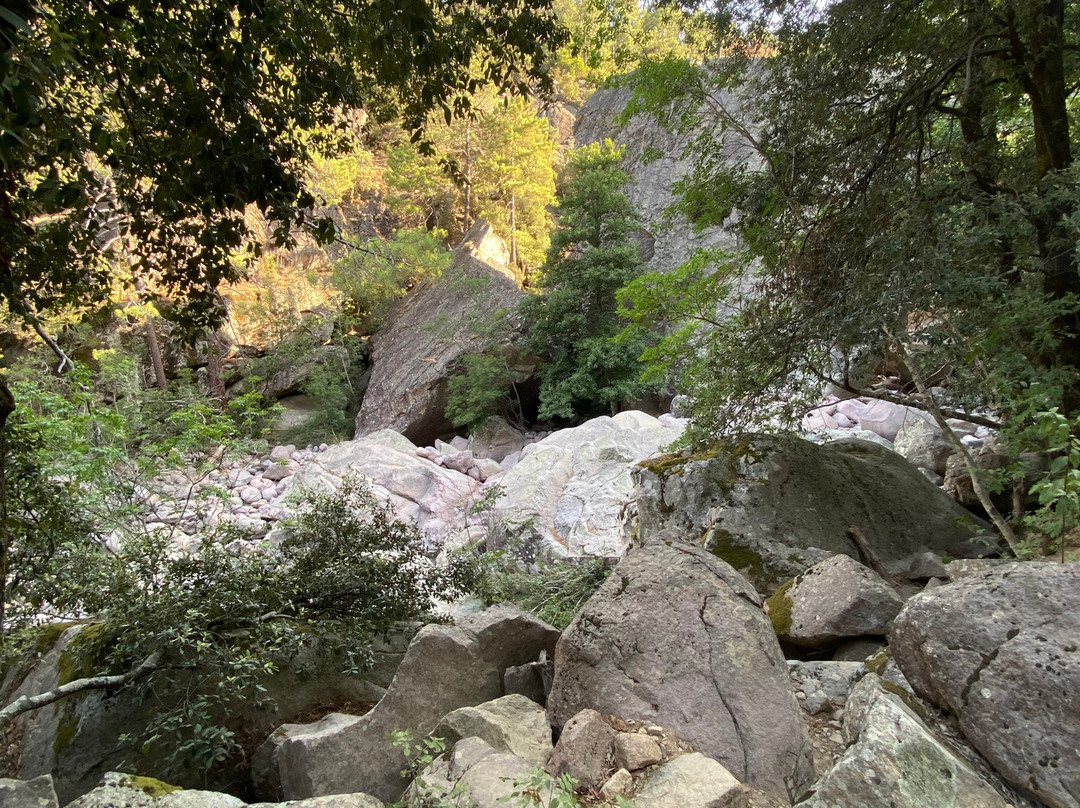 La Forêt De Bonifato景点图片