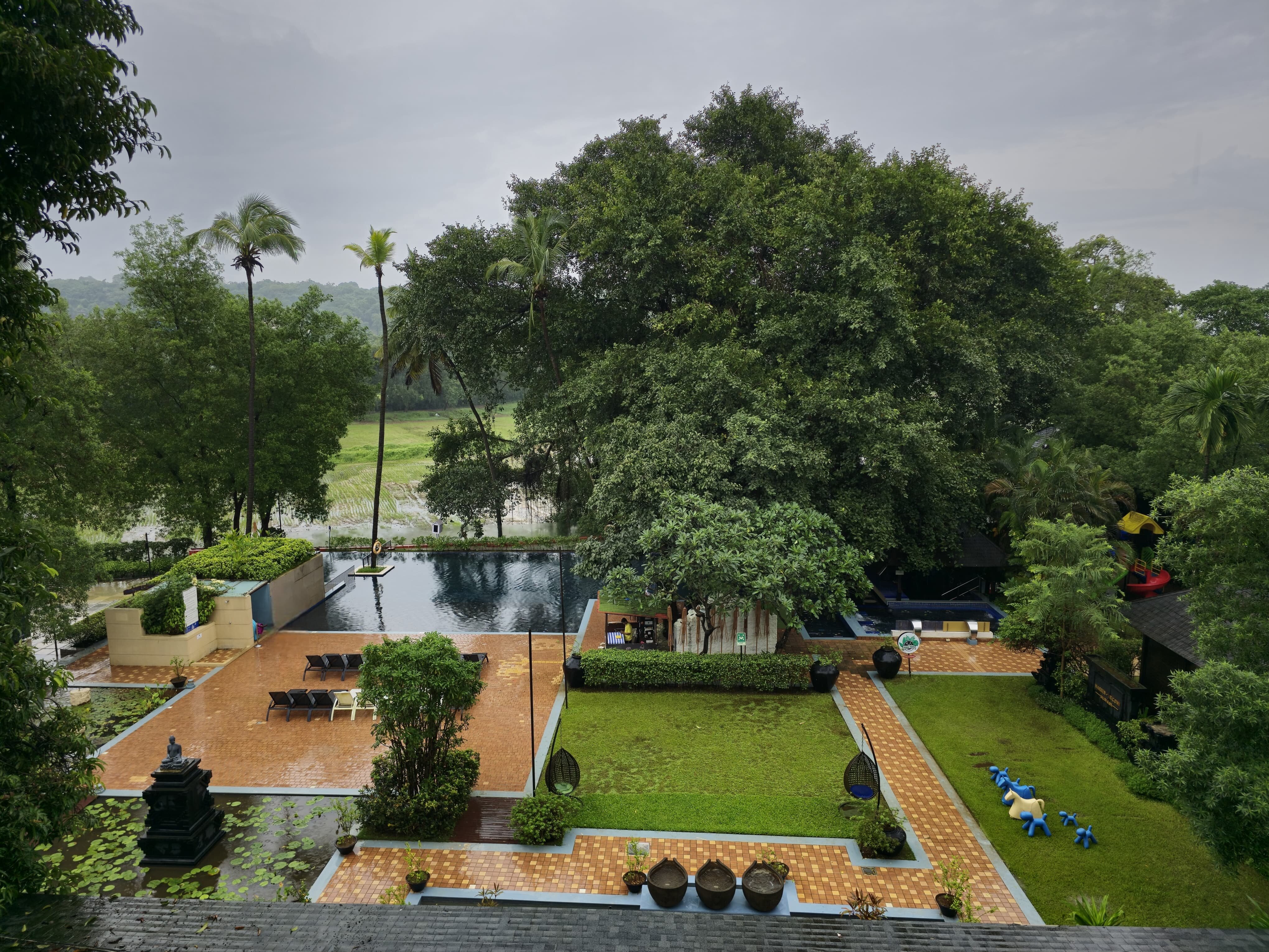 Novotel Goa Resort & Spa-泳池