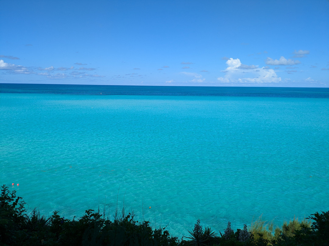 帕诺海滩俱乐部主图