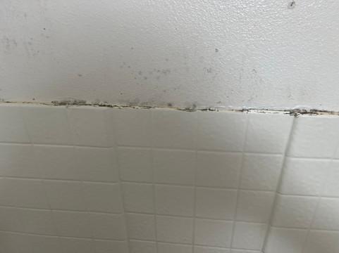 Howard Johnson by Wyndham Salinas主图