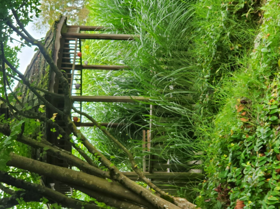 Les Jardins Aquatiques - Le Parc景点图片