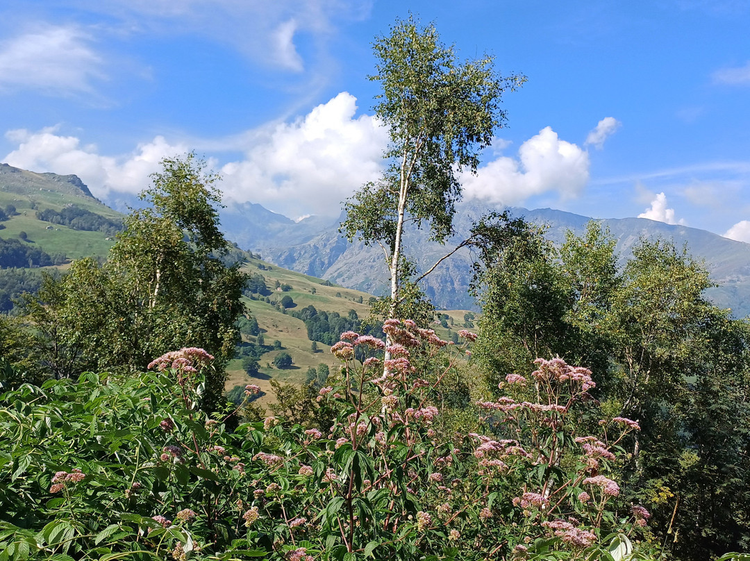 Tracciolino strada panoramica景点图片