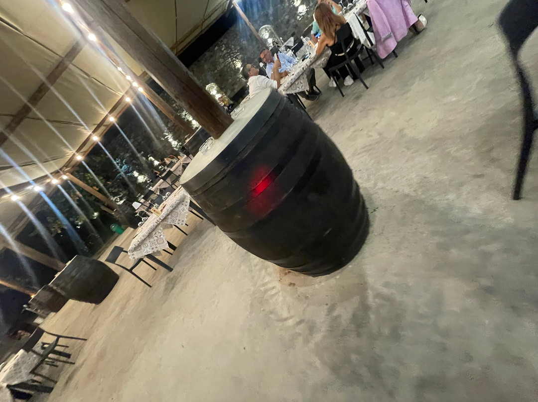 Tenuta Rufolo景点图片