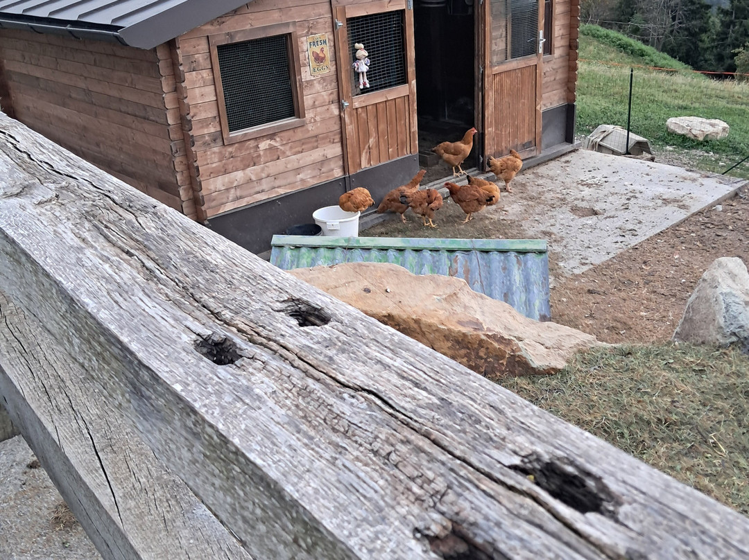 Agriturismo Ca' di Racc主图