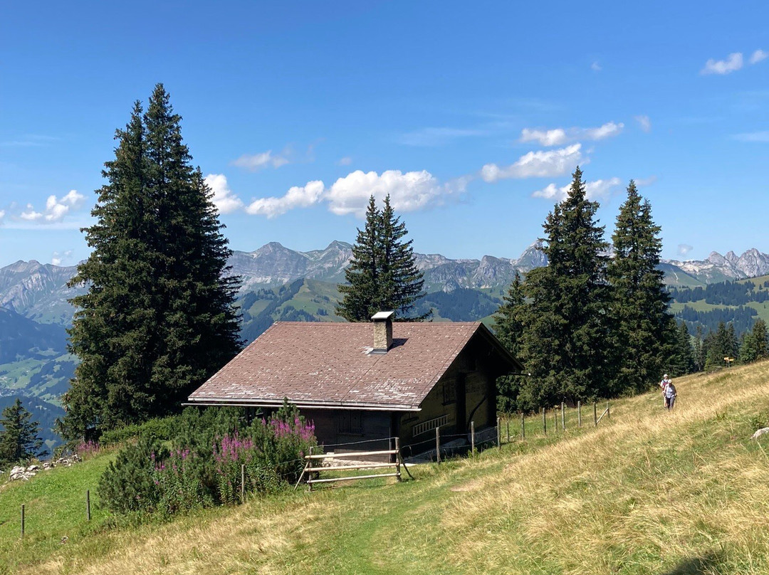 Horneggli - Hornberg - Rinderberg景点图片