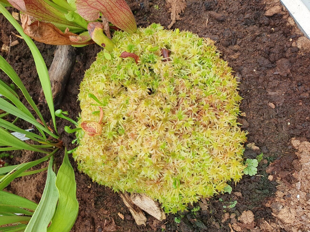 Vlindersafari-Gemert必去景点