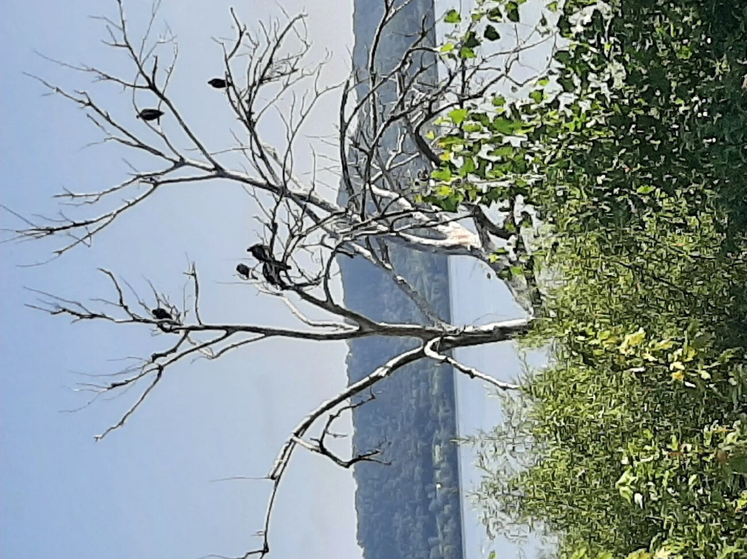 Lake Pepin景点图片