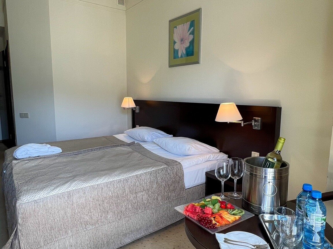 Hotel Elbrus Spa & Wellness主图