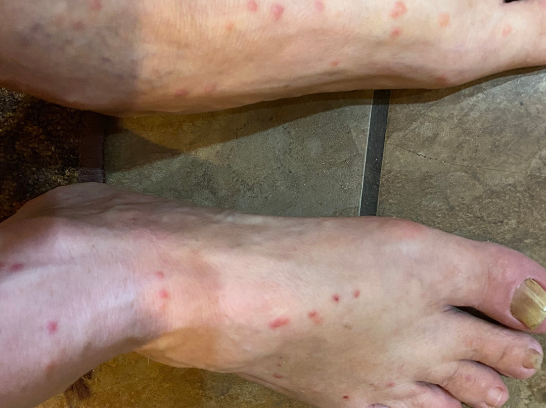 Astoria Riverwalk Inn主图