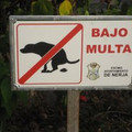 fsgattoni