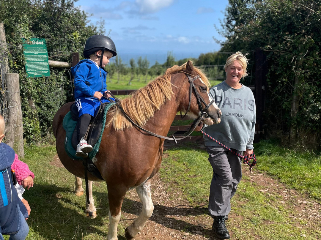 Exmoor Horse Riding and Trekking Centre景点图片
