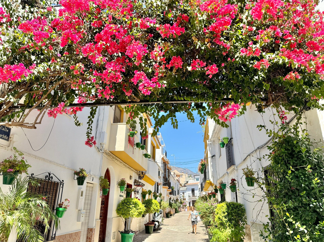 The Estepona Old Quarter Casco Antiguo景点图片