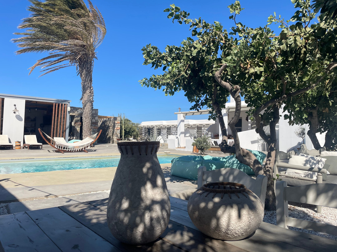 White and Grey主图