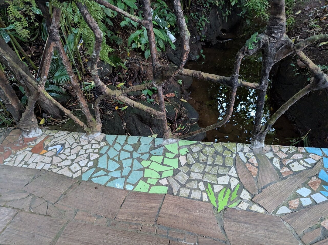 Salamandra Costa Rica主图