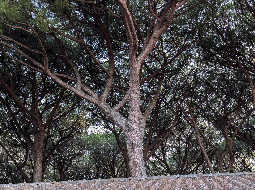 Golfo di Maremma Village主图