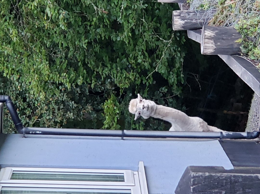 The Mill at Glynhir主图