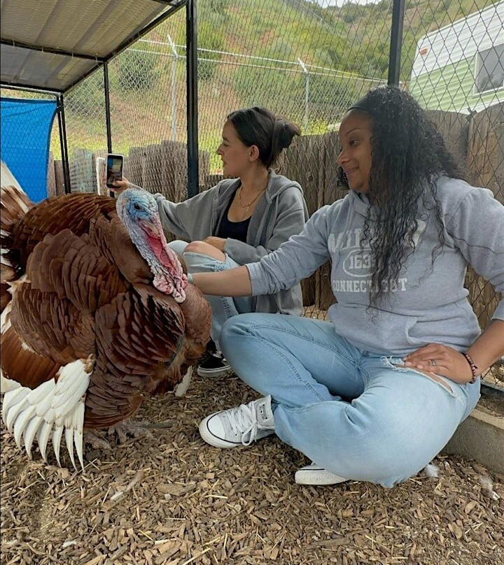 Love Always Sanctuary-洛杉矶必去景点