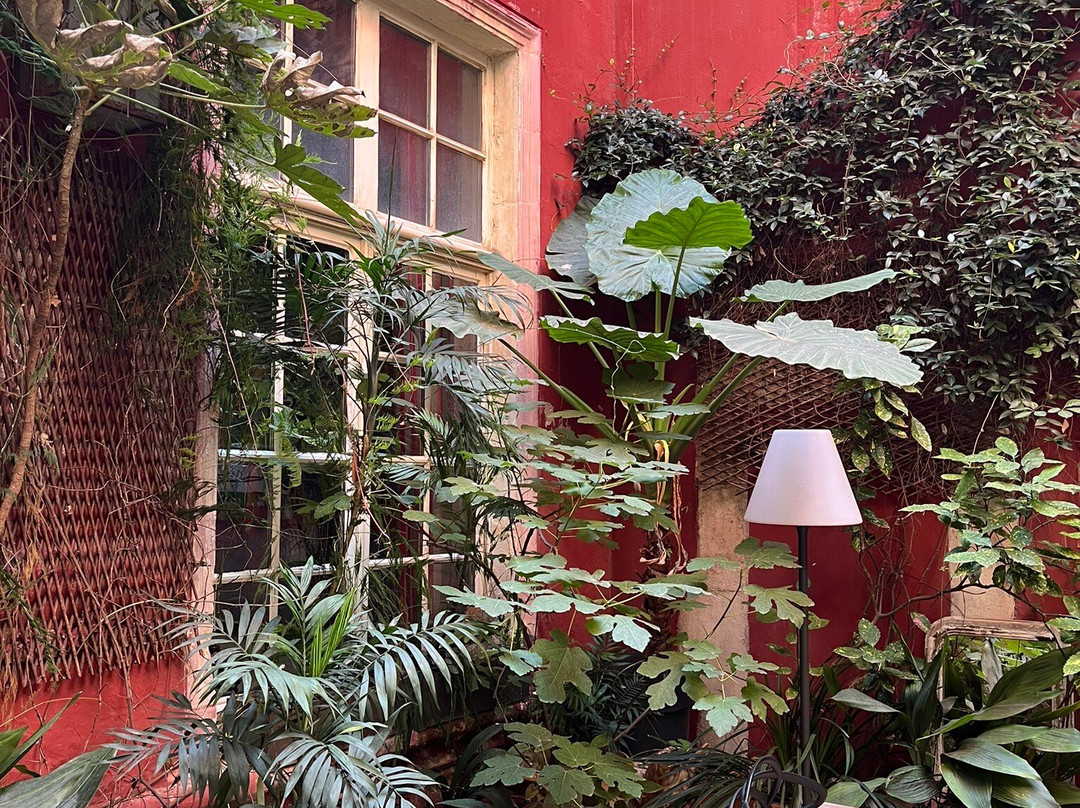 Hotel De L'Amphitheatre主图