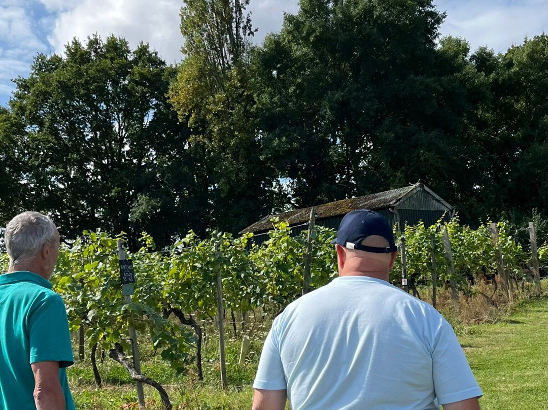 Astley Vineyard景点图片