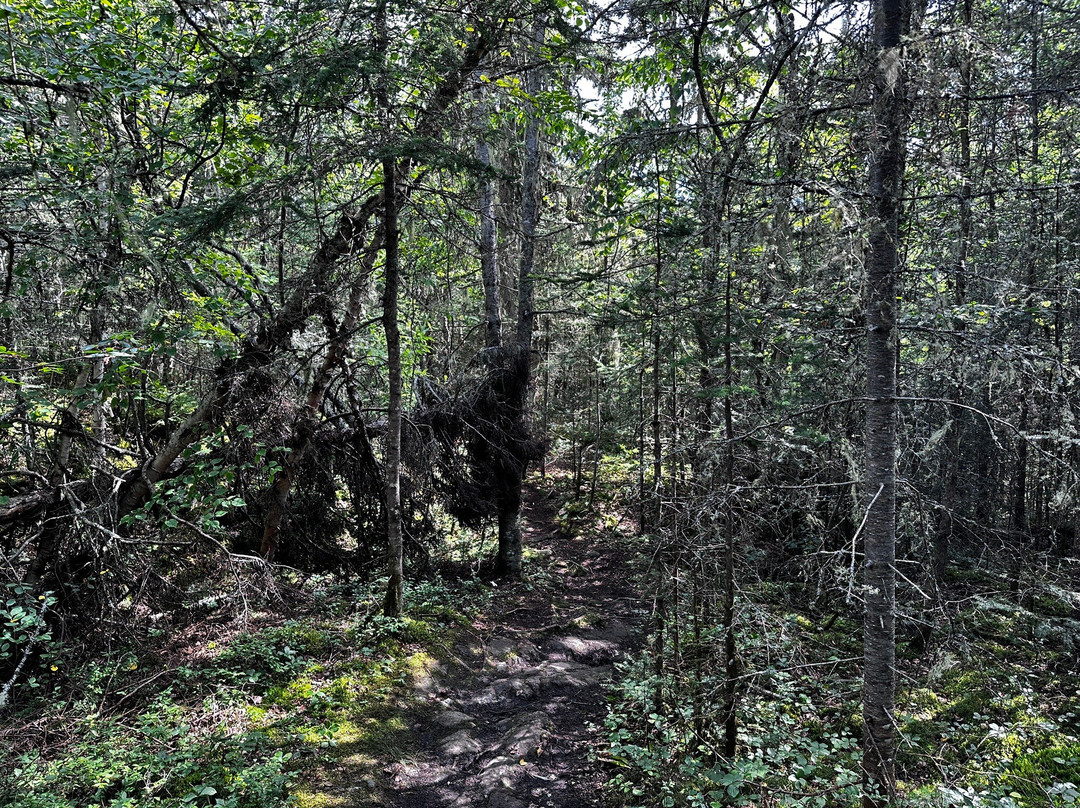 Mink Creek Falls-Marathon必去景点