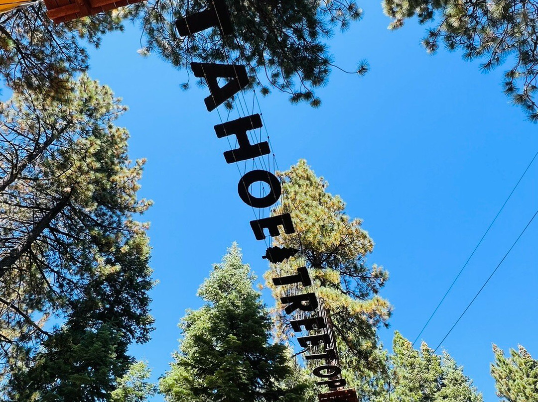 Tahoe Vista Treetop-塔霍维斯塔必去景点
