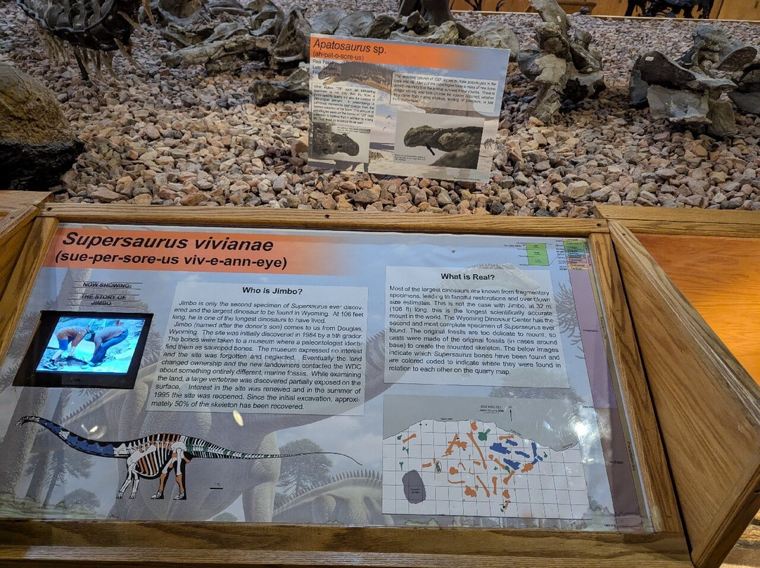 Wyoming Dinosaur Center-瑟莫波利斯必去景点