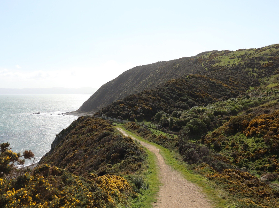 East Harbour Regional Park景点图片