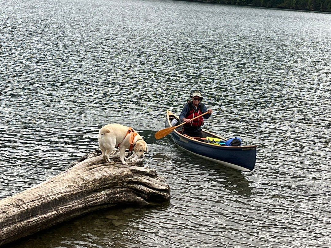 Martha Creek Provincial Park-雷夫尔斯托克必去景点