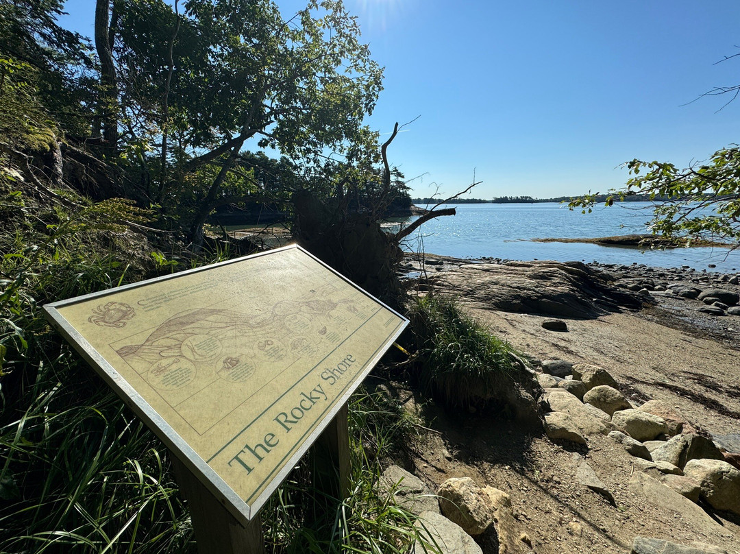 Wolfe's Neck Woods State Park景点图片