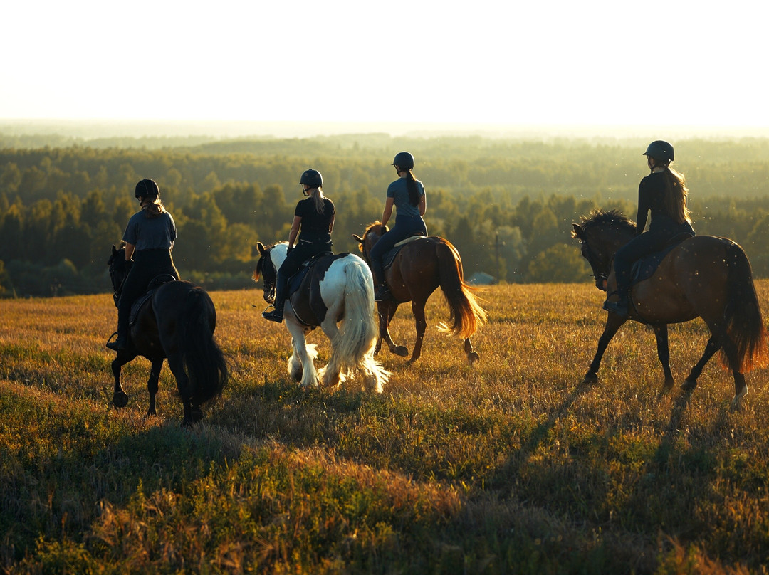 Metsapiiga Talu - Horse riding centre-Jogeva必去景点