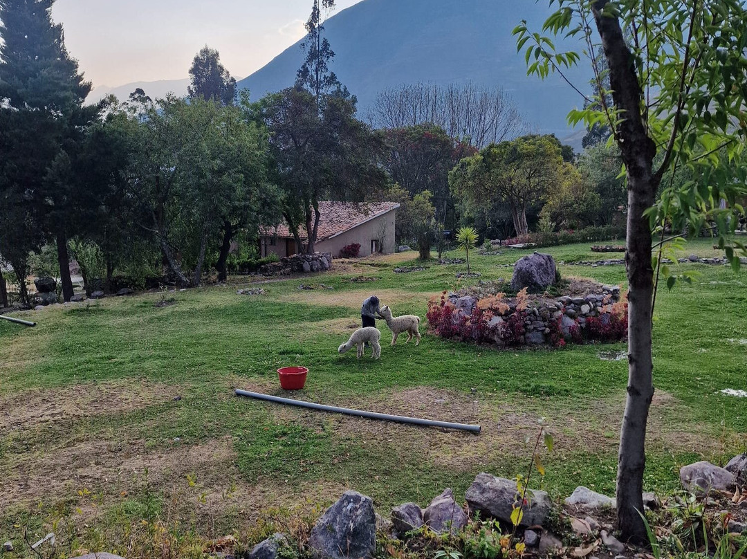 Inti Punku Valle Sagrado Hotel - Signature Collection主图