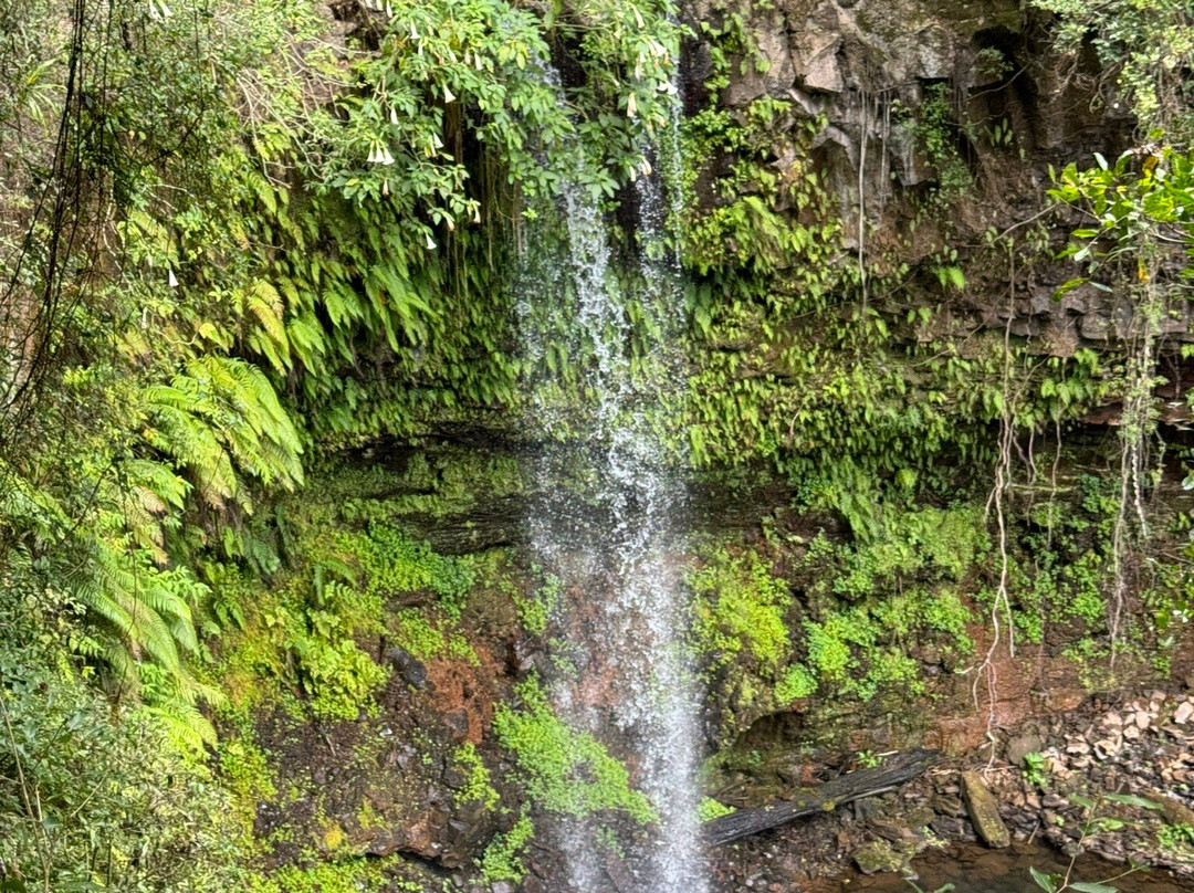 Parc Nationale Montagne D'ambre景点图片