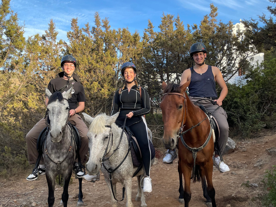 Sifnos Horseriding景点图片