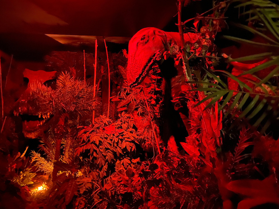 Parque de atracciones Monte Igueldo-圣塞瓦斯蒂安必去景点