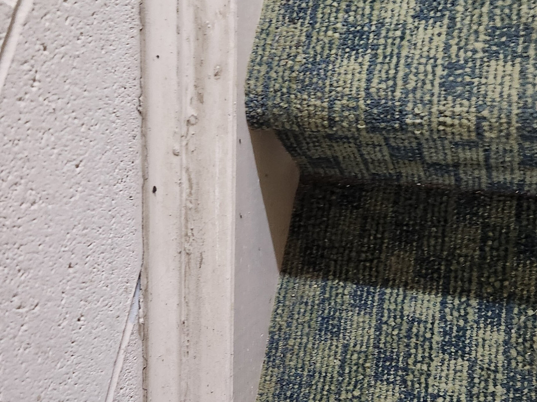 Candlewood Suites Colonial Heights-Ft Lee by IHG主图