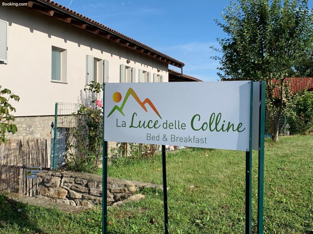 La Luce Delle Colline主图