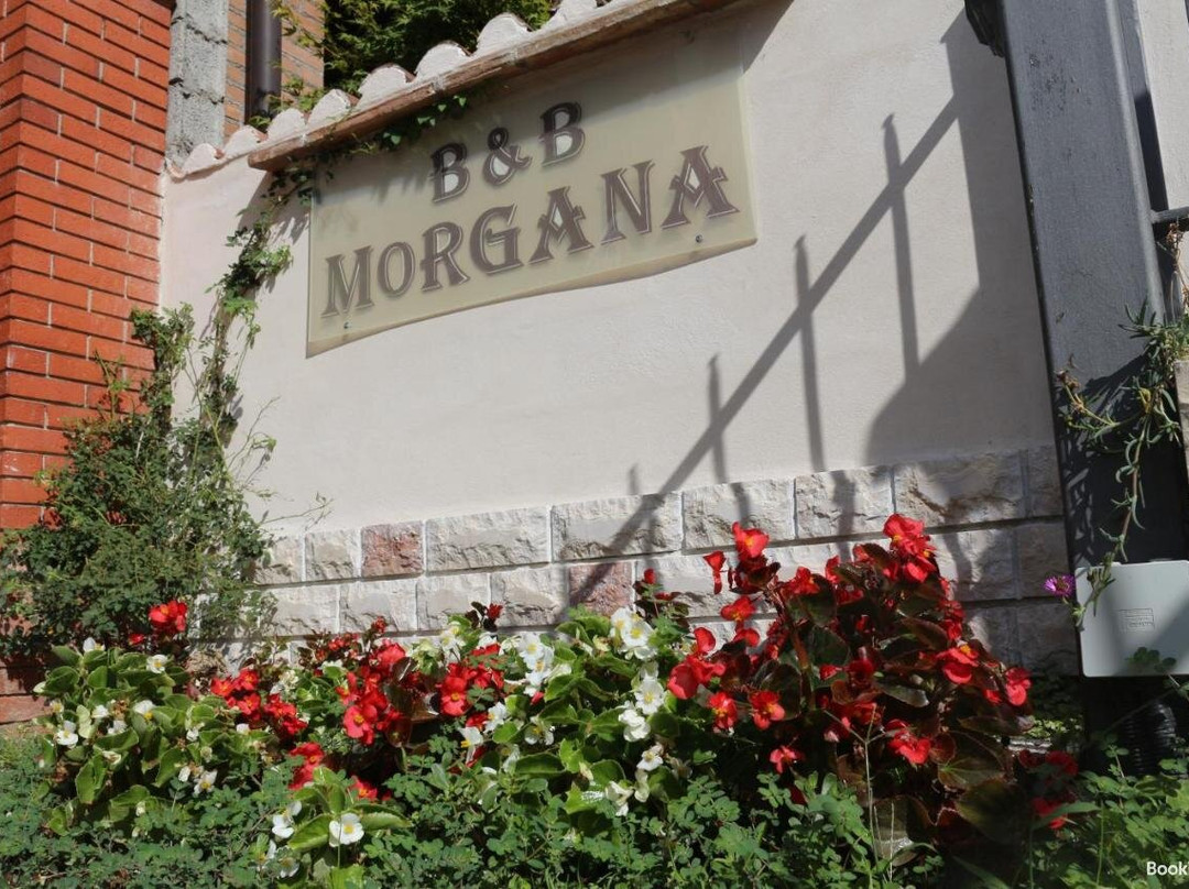 Morgana主图