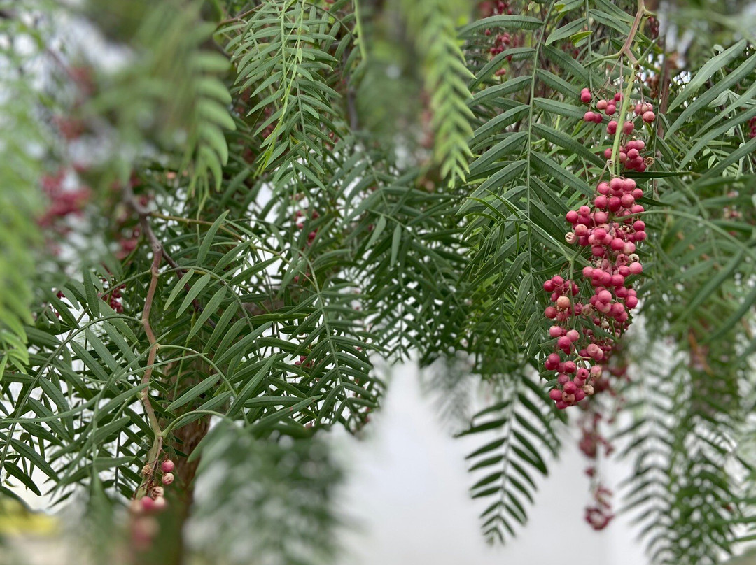 Centro Vacanze Oriente主图