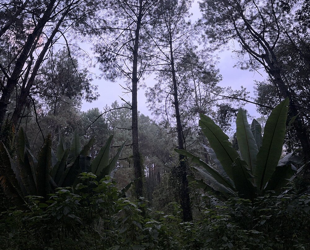 Eleusinia Retreat景点图片