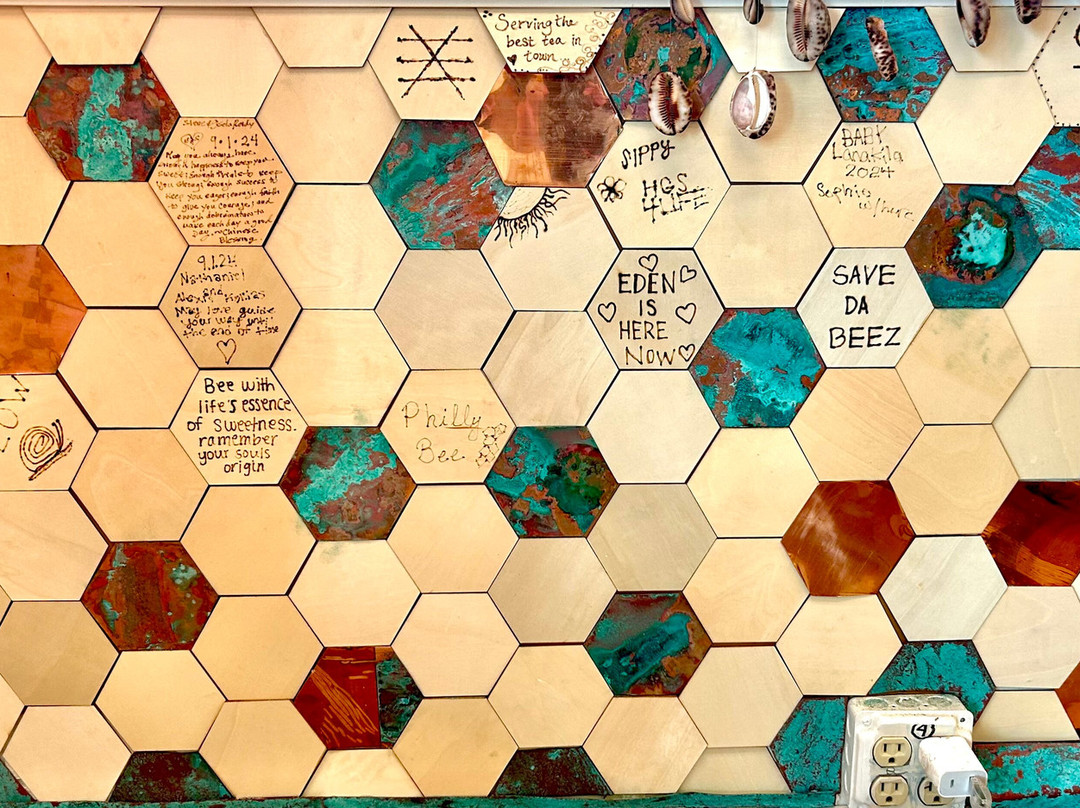 Bee Boys Bee Space-凯鲁瓦-柯纳必去景点