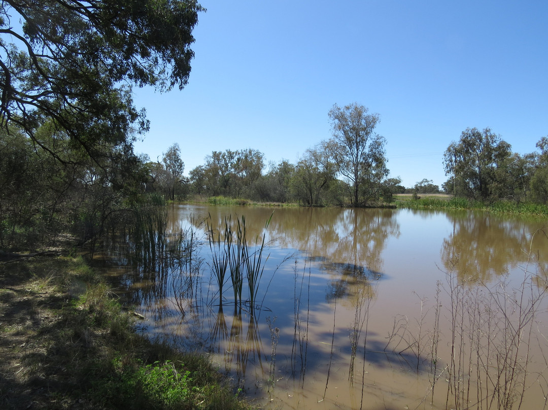 Tiger Bay Wetlands-Warren必去景点