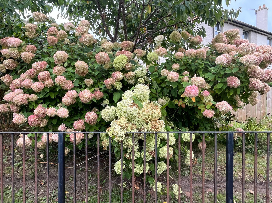Geilston Garden-Dumbarton必去景点