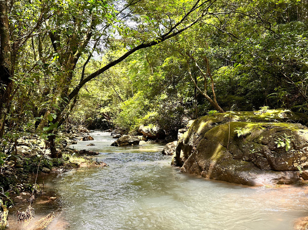 La Leona Waterfall景点图片
