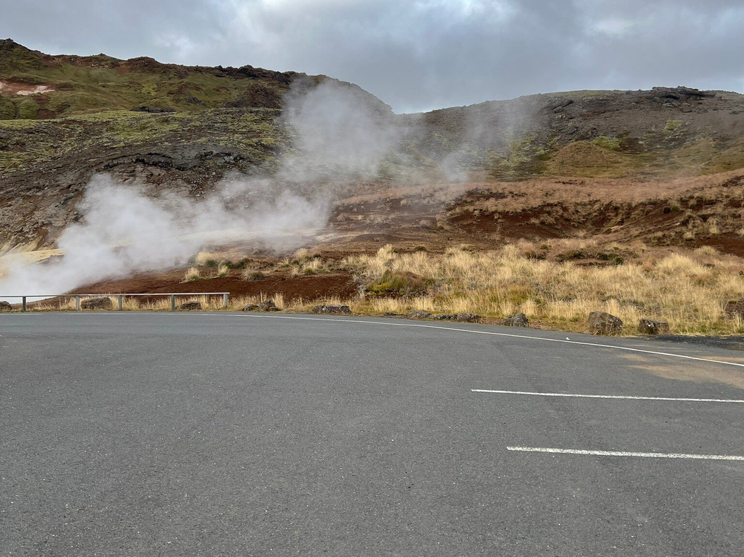 Geothermal Area Krysuvik-雷克雅未克必去景点