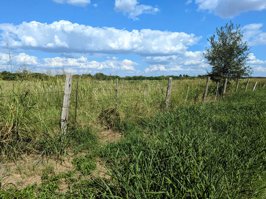 Wingate by Wyndham San Marcos主图