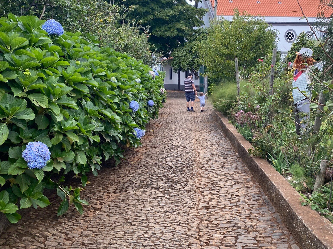 Quinta Pedagógica dos Prazeres-卡列塔必去景点