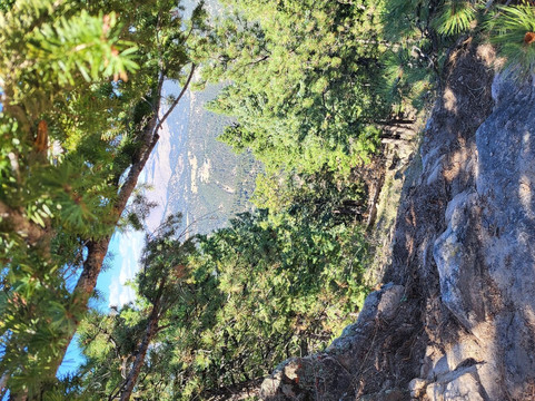 Homewood Suites by Hilton-丹佛国际机场主图